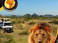 Vasa Safaris